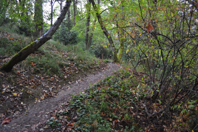 But if one wants the workout of a final series of switchbacks, choose the Shelter Trail